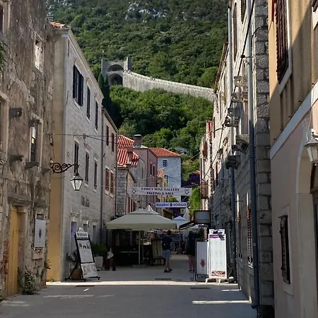 Nespola