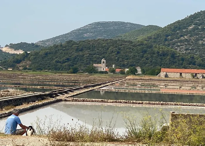 Nespola בית נופש *