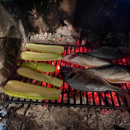 Hébergement de vacances Nespola Hodilje