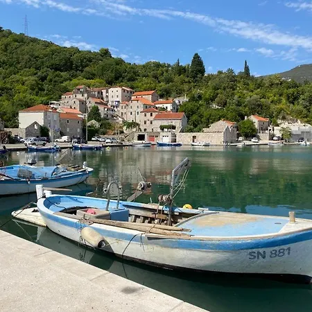 Nespola Hébergement de vacances Hodilje